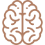 brain-1-qutt5djd7wifqumkewubyk6xyhm8p09h6rlxk97362.png